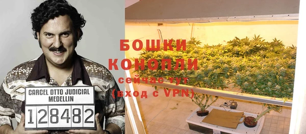 PSILOCYBIN Алзамай